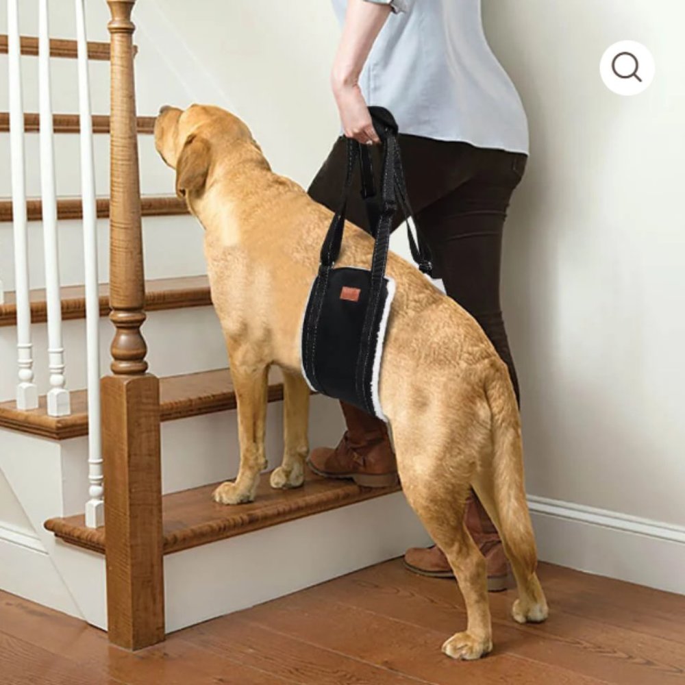 *NIB* Portable Dog Sling Lift Strap Harness (size M)